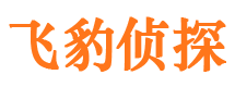 启东市侦探公司